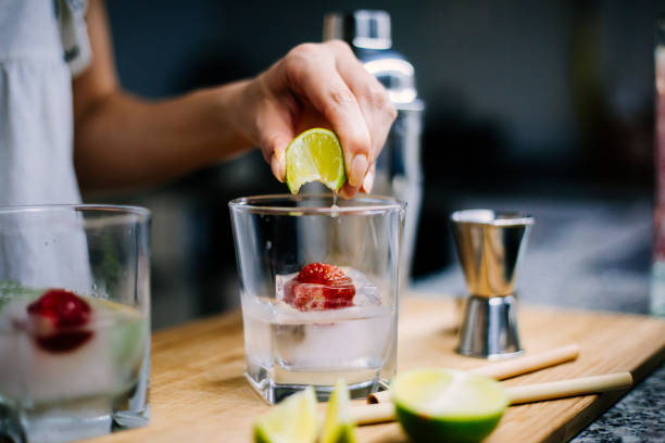 hacer gin tonic casero - freshly squeezed fotografías e imágenes de stock