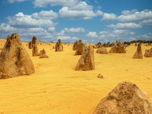 istock The Pinnacles Desert in Western Australia 1251289097