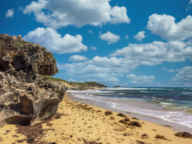 istock Coastline in Western Australia in springtime 1251289108