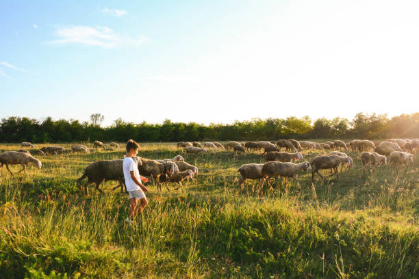 istock Happy boy runs through a beautiful meadow in pasture. 1251289588