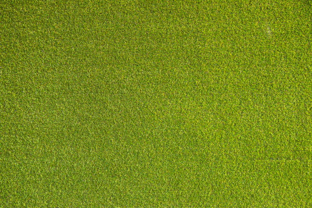 istock synthetic grass carpet close up 1251290774