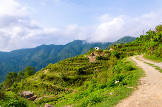 beautiful way to uttarakhand village barsuri, pauri, garhwal - garhwal imagens e fotografias de stock