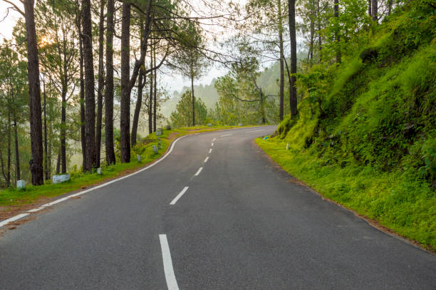 beautiful road of pauri garhwal, uttarakhand - garhwal imagens e fotografias de stock