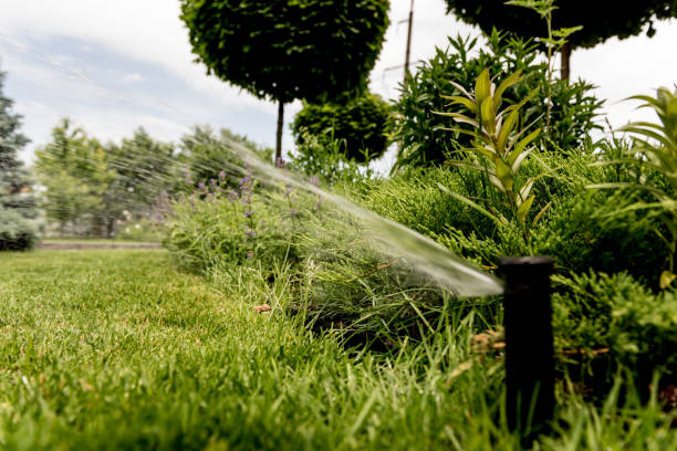 istock Irrigation system watering garden lawn. Landscape design. 1251291853