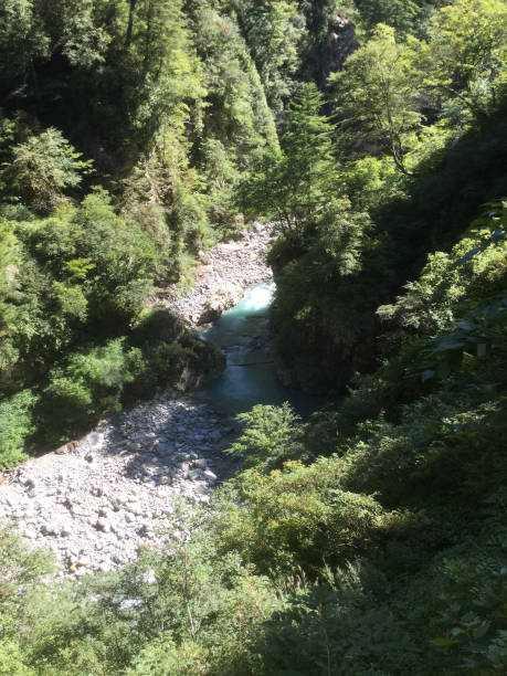 istock Scenery along the Kurobe River in the Kurobe Gorge 1251295470