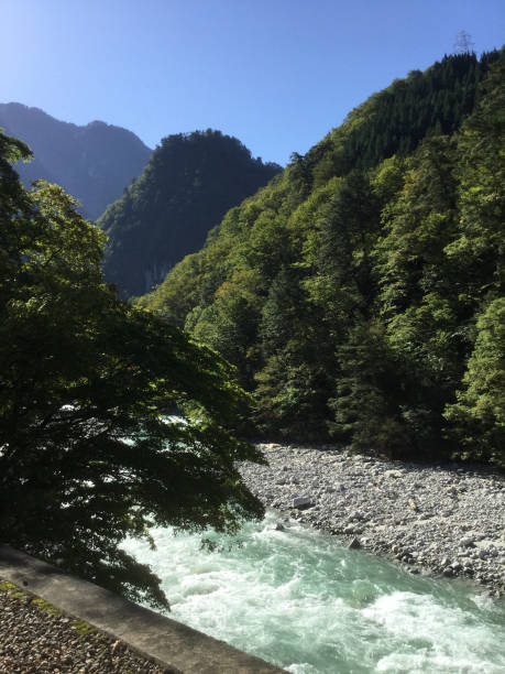 istock Scenery along the Kurobe River in the Kurobe Gorge 1251295579