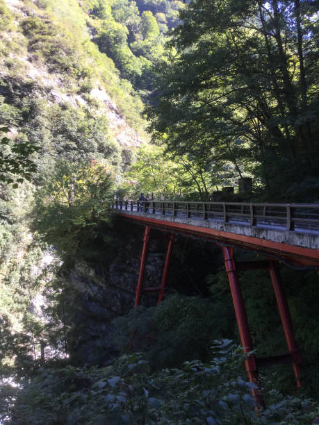 istock Scenery along the Kurobe River in the Kurobe Gorge 1251295593