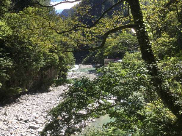 istock Scenery along the Kurobe River in the Kurobe Gorge 1251295597