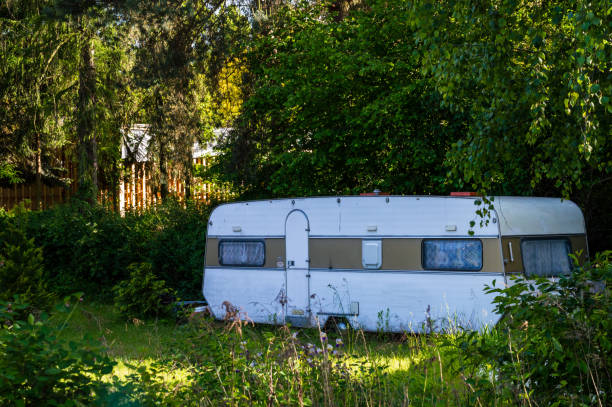 istock An old caravan in a green garden 1251297976