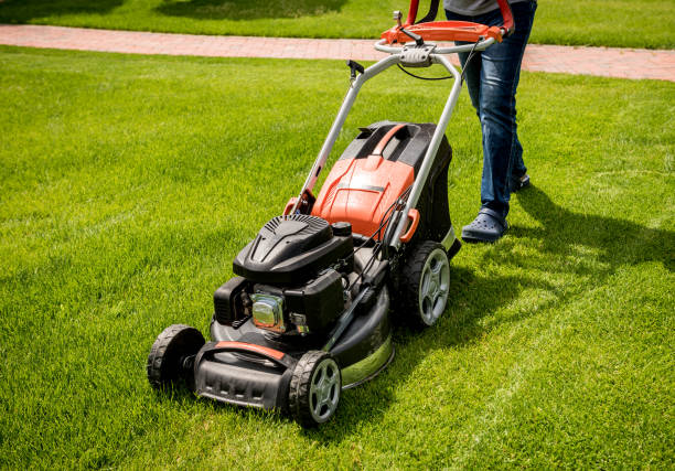 istock Gardener mowing the lawn. Landscape design. Green background 1251299702