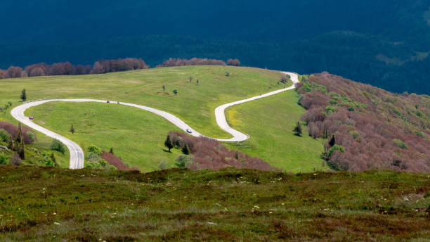 istock High alpine road through the meadows in the Vosges 1251300610