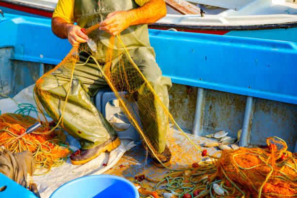 istock Fisherman empties fish from net in his small boat 1251300973