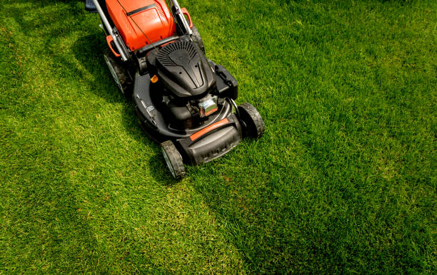 istock Lawn mower on green grass. Summer garden 1251300984