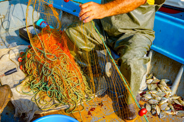 istock Fisherman empties fish from net in his small boat 1251301790