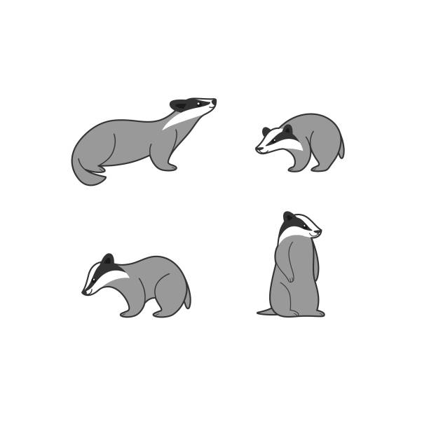 animal Cartoon animal icon set. Different poses of badger. Vector illustration for prints, clothing, packaging, stickers. badger stock illustrations