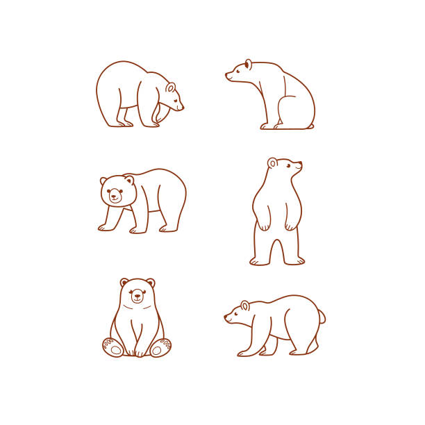 животное - activity animal sitting bear stock illustrations