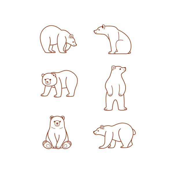 Animal Stock Illustration - Download Image Now - Bear, Sitting, Outline -  iStock