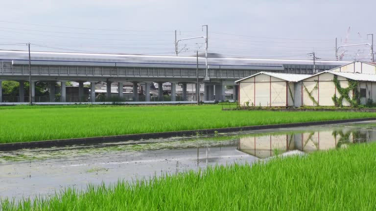 Bullet Train Rice 510+ Japanese Bullet Trains Stock Videos and Royalty-Free Footage - iStock
