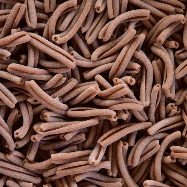 istock Caserecce italian pasta texture brown 1251313093