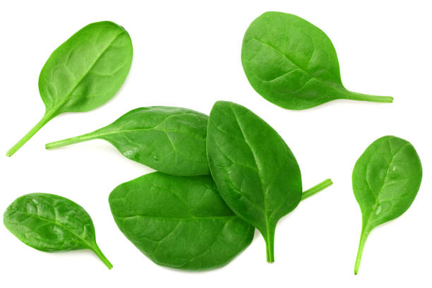 istock spinach leaves isolate on white background. Healthy food. 1251317998