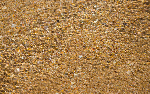 istock Clear sea water and shell bottom, background 1251319584