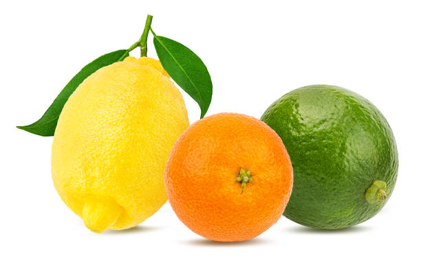 istock Citrus set mandarin orange, lemon, lime isolated on white background with clipping path 1251320490