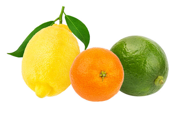 istock Citrus set mandarin orange, limon, lime isolated on white background with clipping path 1251320584