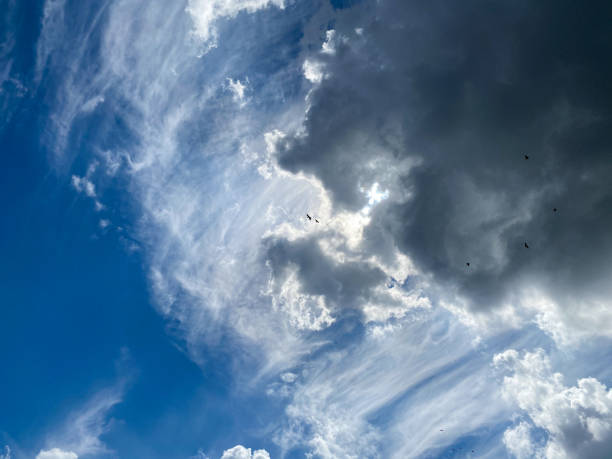 istock View into deep blue sky with stratocumulus and cirrus clouds on windy day announcing occasional summer rain showers 1251321274
