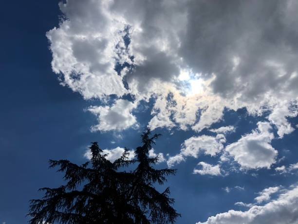 istock Sky clouds amamzing skyline blue sky and white clouds 1251321706