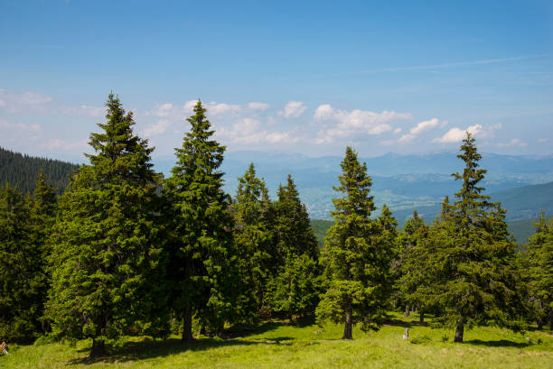 istock Picturesque mountain landscape 1251322129