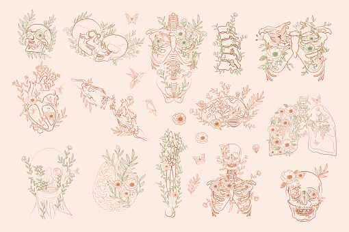 Set Of Vintage Floral Anatomy Elements Stock Illustration - Download Image  Now - Flower, Anatomy, Heart - Internal Organ - iStock