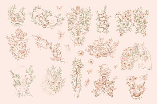 Set Of Vintage Floral Anatomy Elements Stock Illustration - Download Image Now - Flower, Anatomy, Heart - Internal Organ - iStock Set Of Vintage Floral Anatomy Elements Stock Illustration - Download Image Now - Flower, Anatomy, Heart - Internal Organ - iStock