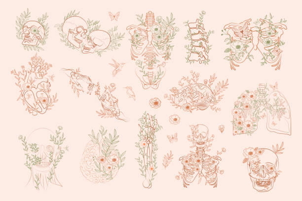 Set of Vintage Floral Anatomy elements Set of Vintage Floral Anatomy elements in one line. Human skeleton and inner organs with flowers and leaves. Editable vector illustration. dead bird stock illustrations