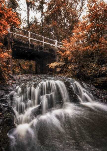istock Belmore falls Waterfalls in Australia 1251329163