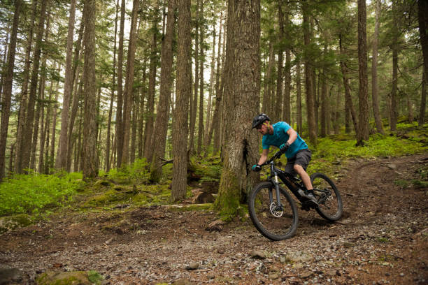 istock Crosscountry mountain biking in a lush forest 1251330668