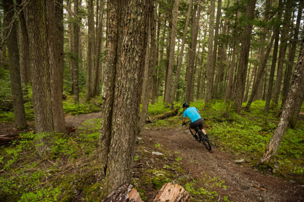 istock Crosscountry mountain biking in a lush forest 1251330670