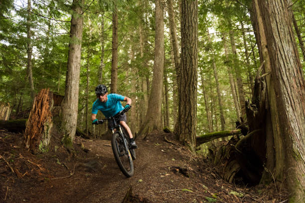 istock Crosscountry mountain biking in a lush forest 1251330731