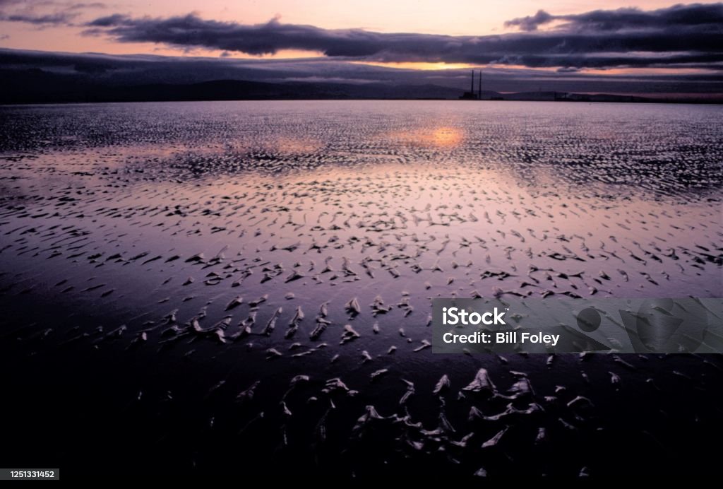 Dollymount Strand Dublin Ireland Sand patterns among sea residue showing reflections of Sunset Sky with Pidgeon House in distance Beach Stock Photo