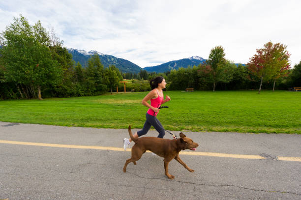 istock Woman jogging with her dog 1251331593