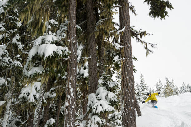 istock Enjoying fresh powder on a snowbaord 1251331623