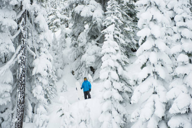 istock Exploring natures beauty through winter sport 1251331735