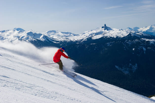 istock Skiing on a sunny day 1251331893