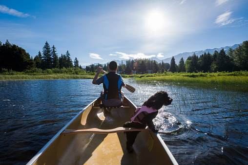 Man on a canoe adventure with his dog. Enjoying the great outdoors with pets. Visiting on of