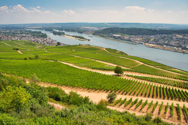istock view on the rhin river valley 1251332317