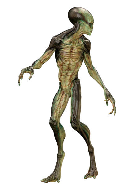 istock 3D illustration green alien on white 1251333305