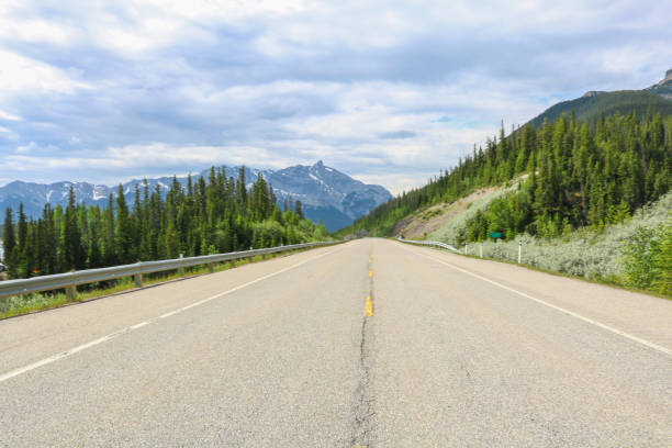 istock Highway leading into the mountains 1251335312