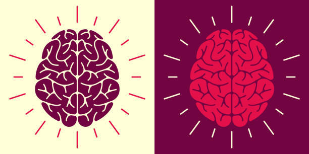 Human Brain Symbol and Icon Human brain thought thinking mental health concept symbol. cortex stock illustrations