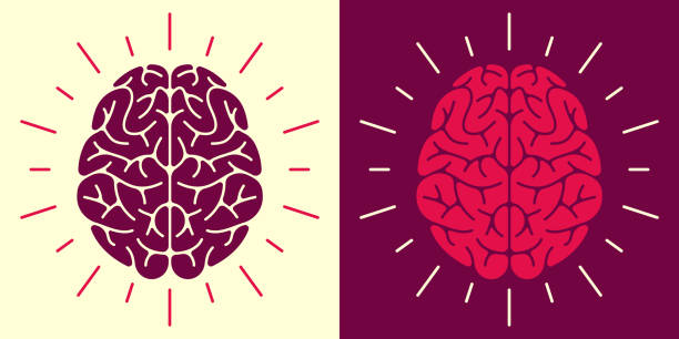 Human Brain  Symbol and Icon Human brain thought thinking mental health concept symbol. midbrain illustrations stock illustrations