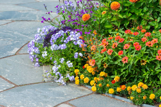 istock Summer flowerbed in ornamental garden 1251340037