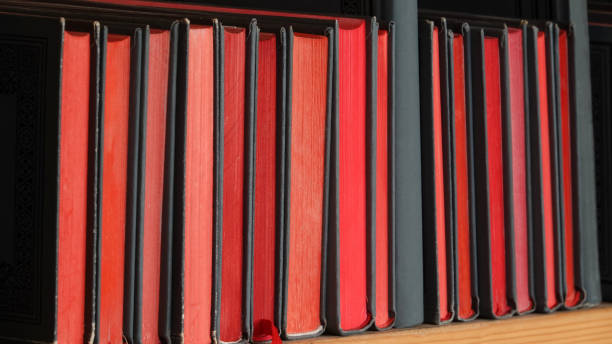istock Books on library shelf literature 1251340842